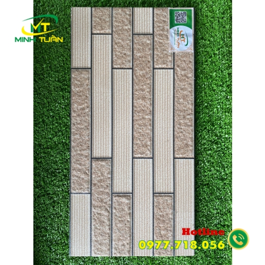 Gạch trang trí 25x50 IHIP2557