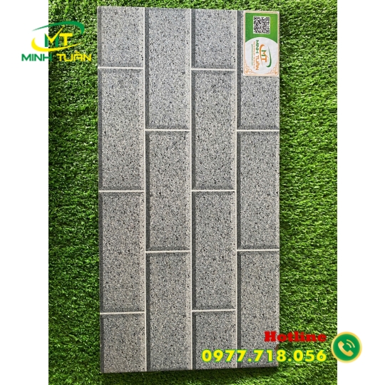 Gạch trang trí 25x50 TTP25200