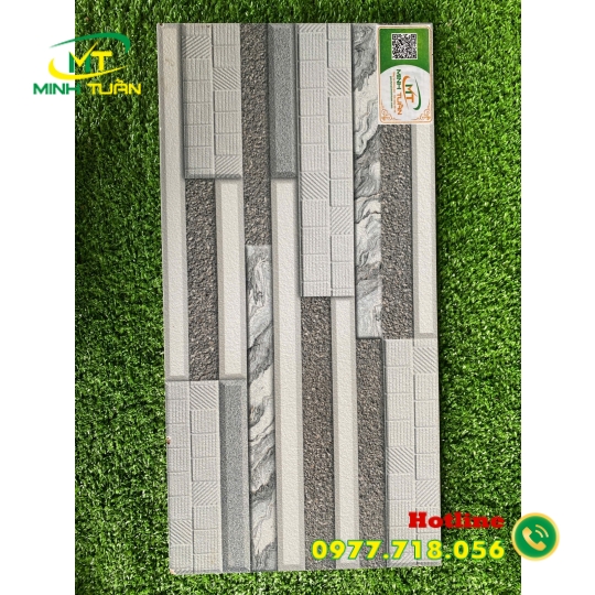 Gạch trang trí 25x50 TTP25202