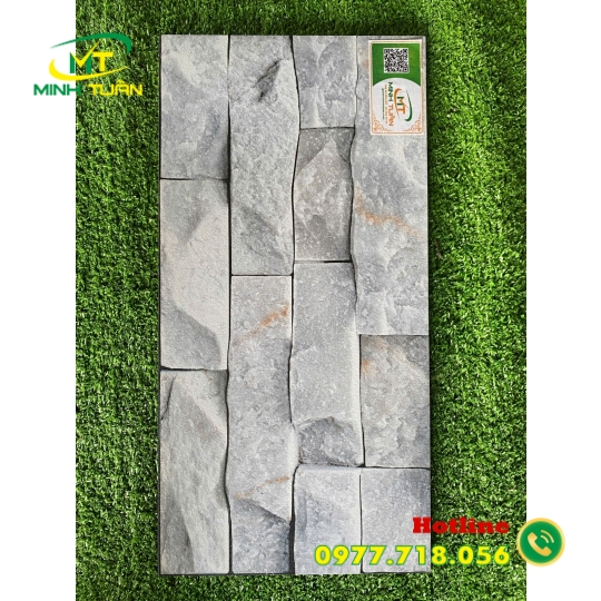 Gạch trang trí 25x50 TTP25215