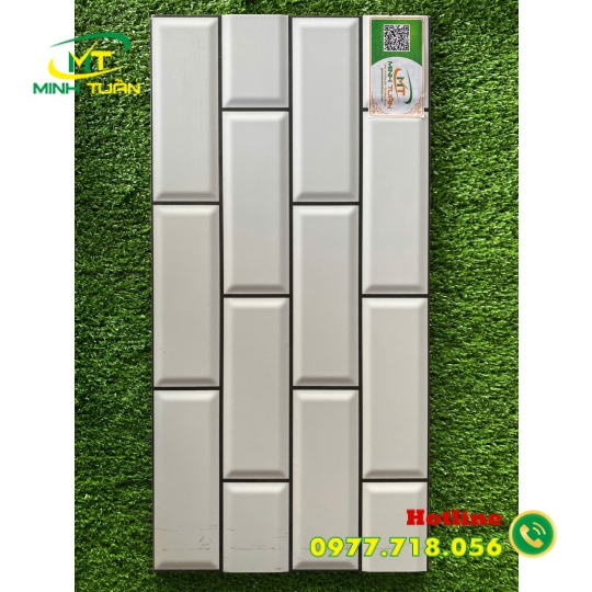 Gạch trang trí 25x50 TTP25251