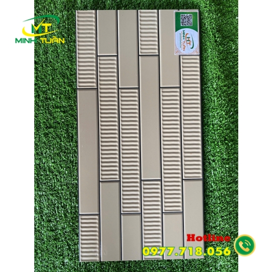 Gạch trang trí 25x50 TTP25260