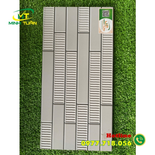 Gạch trang trí 25x50 TTP25262