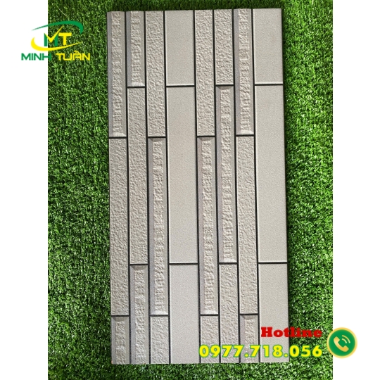 Gạch trang trí 25x50 VN444