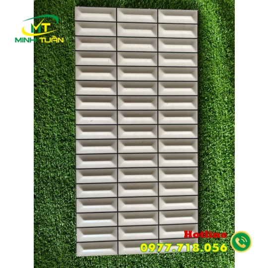 Gạch trang trí 25x50 VN4904