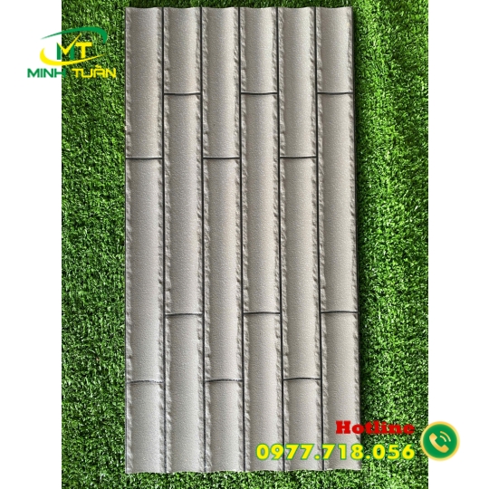 Gạch trang trí 25x50 VN7902