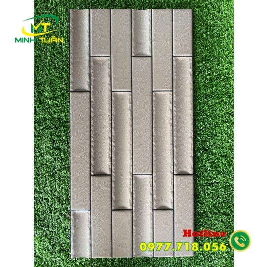 Gạch trang trí 25x50 VN8907