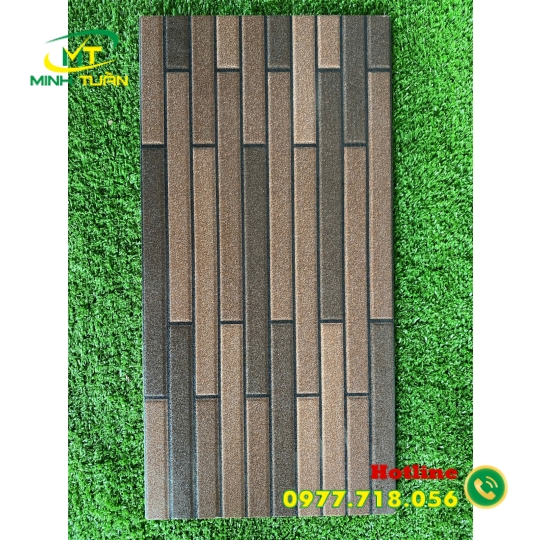 Gạch trang trí 25x50 VN9906