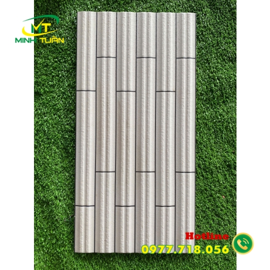 Gạch trang trí 25x50 VT2904
