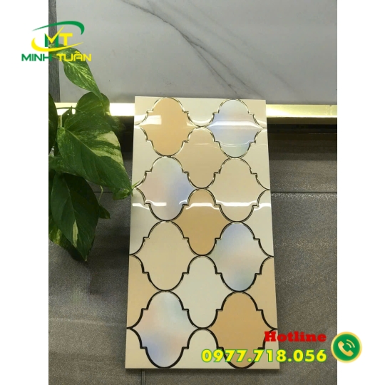 Gạch 30x60 36823
