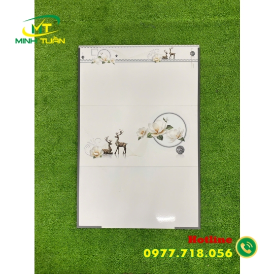 Gạch 30x60 AHPNC36001