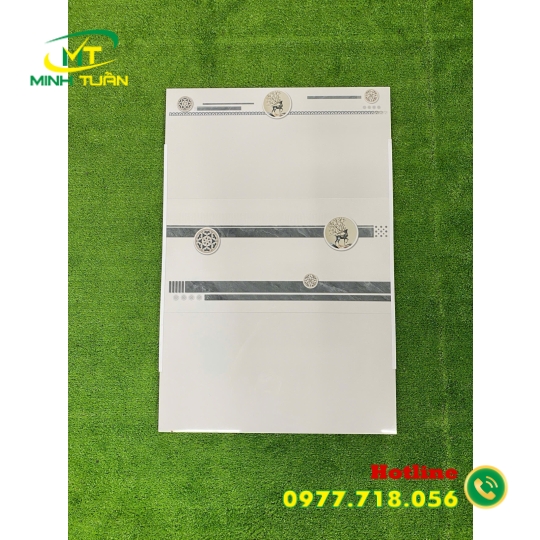 Gạch 30x60 Đá NPGDN36509