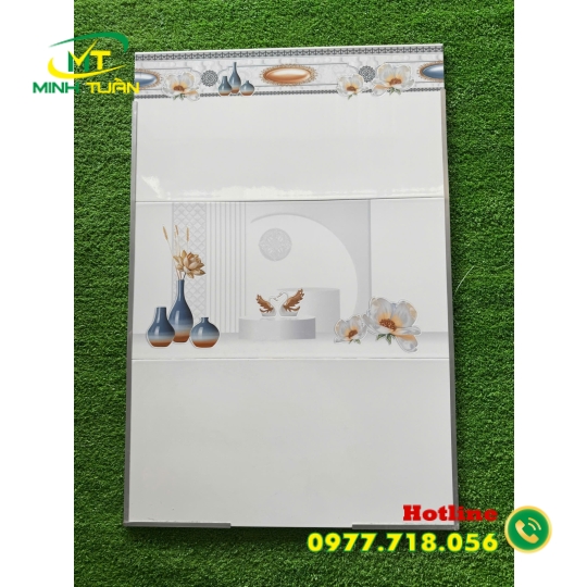 Gạch ốp Tường 30x60 MT3616