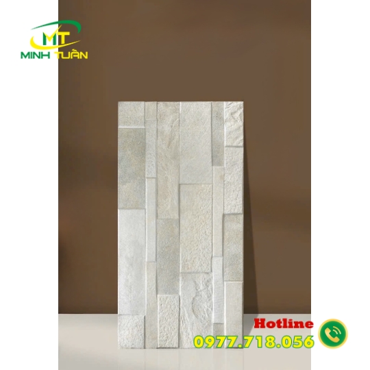 Gạch 30x60 K16306M