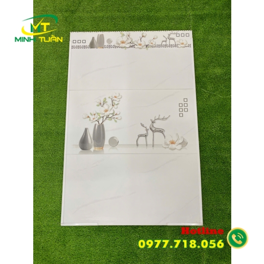 Gạch 30x60 MLR360080