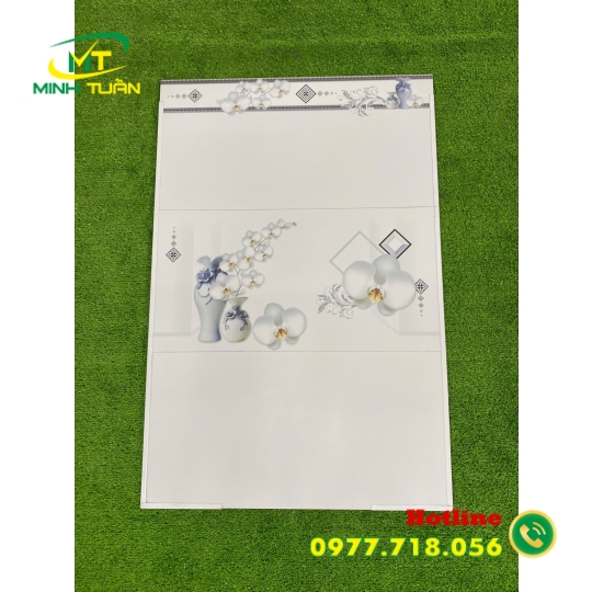 Gạch 30x60 MLR360082