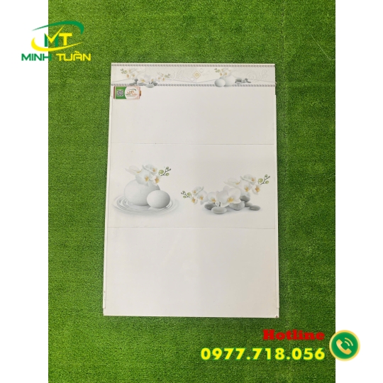 Gạch 30x60 THPCGC39003