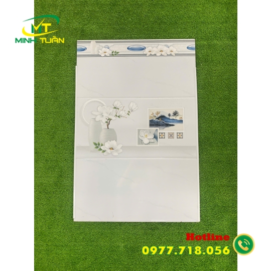 Gạch 30x60 THPWBNC36164