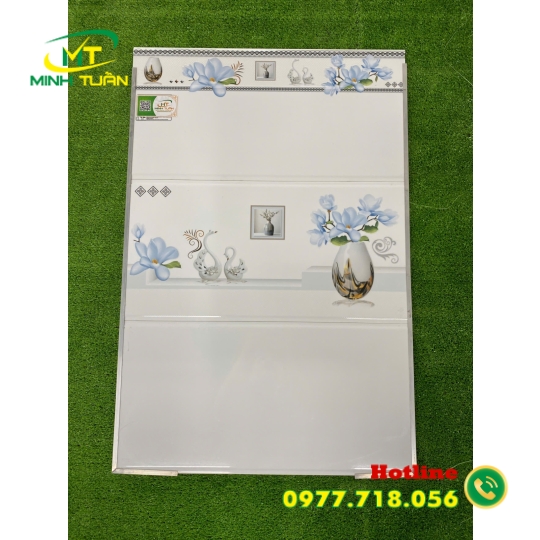 Gạch 30x60 TRM36450