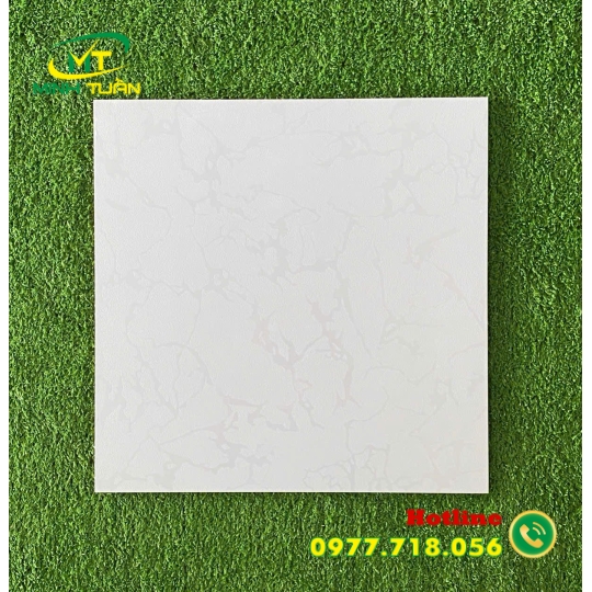 Gạch 40x40 MT4801