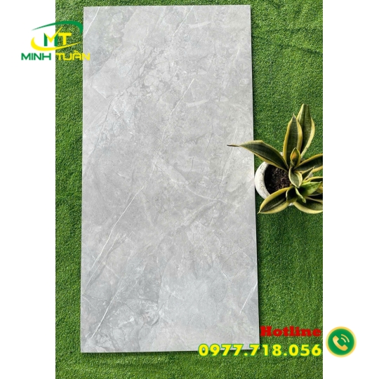 Gạch 60x1200 BD121008