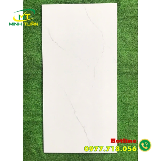 Gạch 60x1200 BD1647