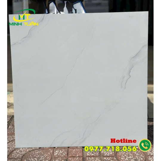 Gạch 60x60 Đá đồng chất 04