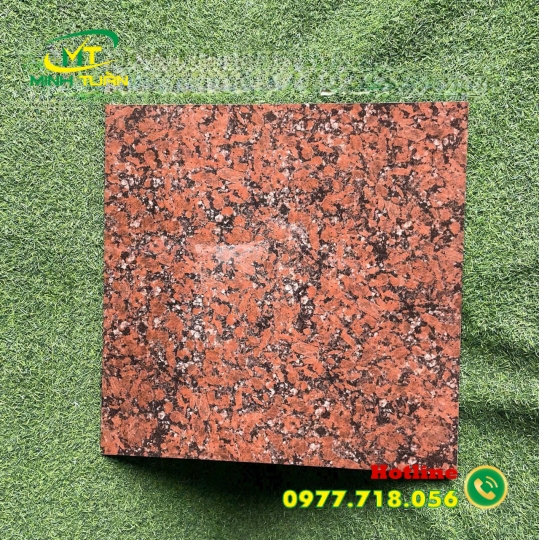 Gạch 60x60 Đá đồng chất 09