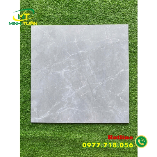 Gạch 60x60 KHC6020