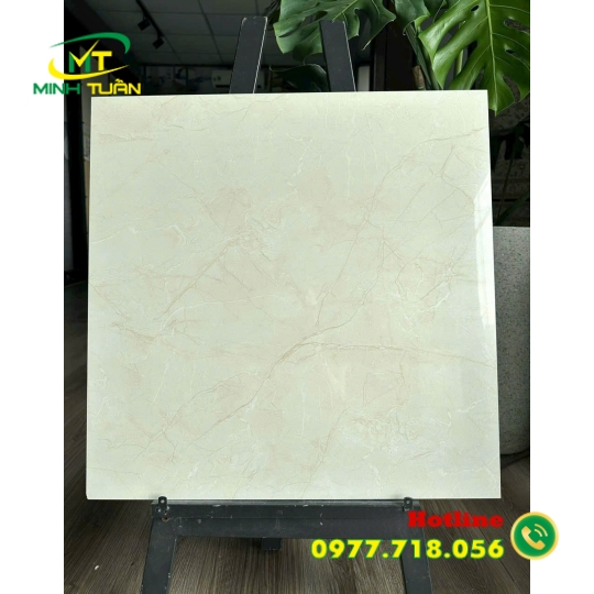 Gạch 60x60 TK150S3