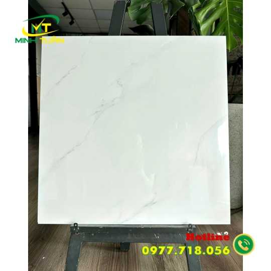 Gạch 60x60 TK152S3