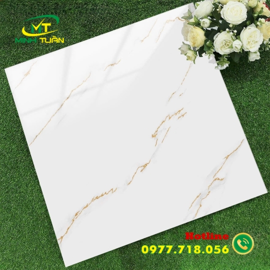 Gạch 60x60 TK6651N