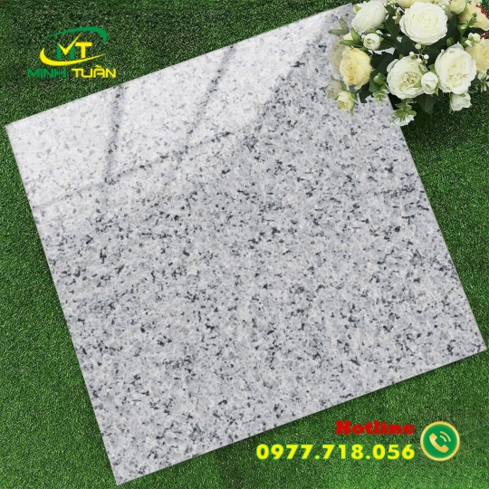 Gạch 60x60 TK6654N