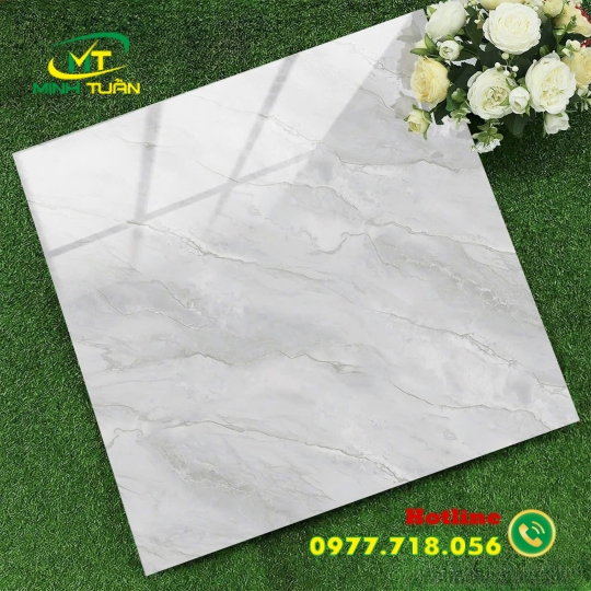 Gạch 60x60 XK6668N