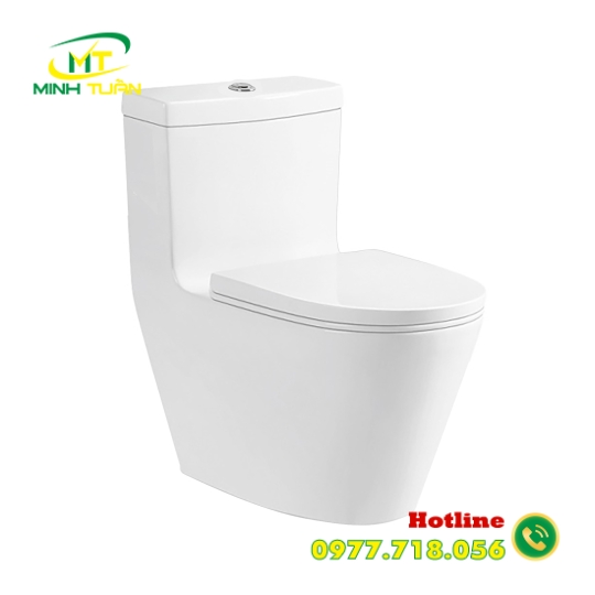 Bồn cầu liền khối DK - C2376