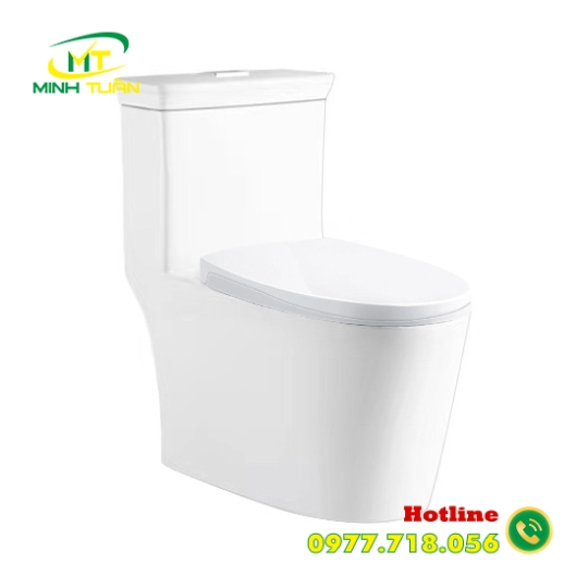 Bồn cầu liền khối DK - C2406