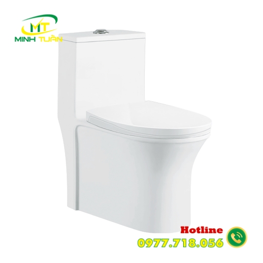 Bồn cầu liền khối DK - C2415
