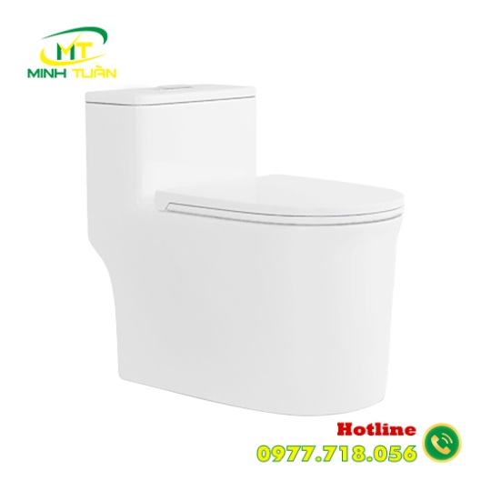 Bồn cầu liền khối DK - C2424