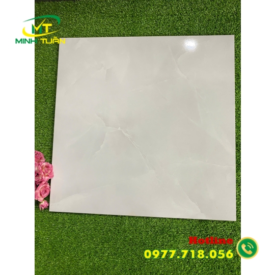 Gạch 50x50 ĐPL50004