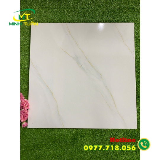 Gạch 50x50 ĐPL502
