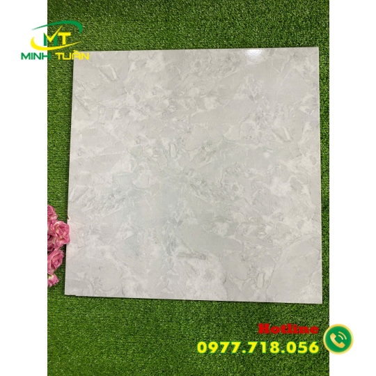Gạch 50x50 ĐPL505