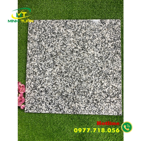 Gạch 50x50 ĐPL509