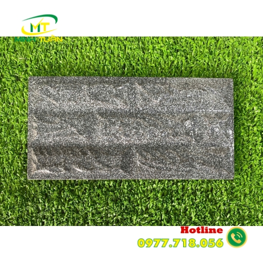 Gạch 10x20 trang trí 02
