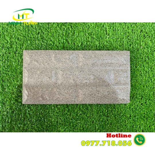Gạch 10x20 trang trí 12