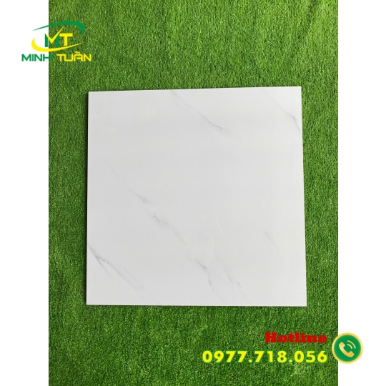 Gạch đá bóng kính 60x60 NB6602
