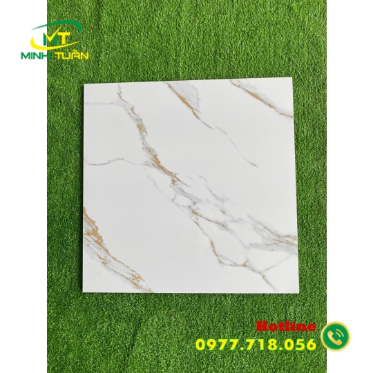 Gạch đá bóng kính 60x60 NB6603