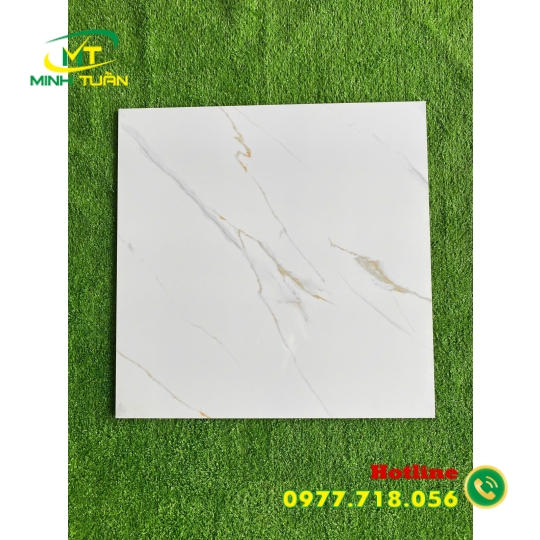 Gạch đá bóng kính 60x60 NB6609