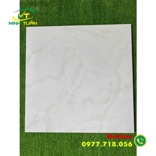 Gạch đá bóng kính 60x60 NB6608