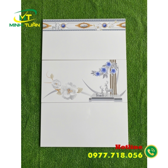 Gạch ốp tường 30X60 HK3073