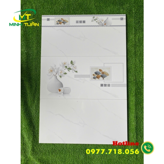 Gạch ốp tường 30X60 HK3081